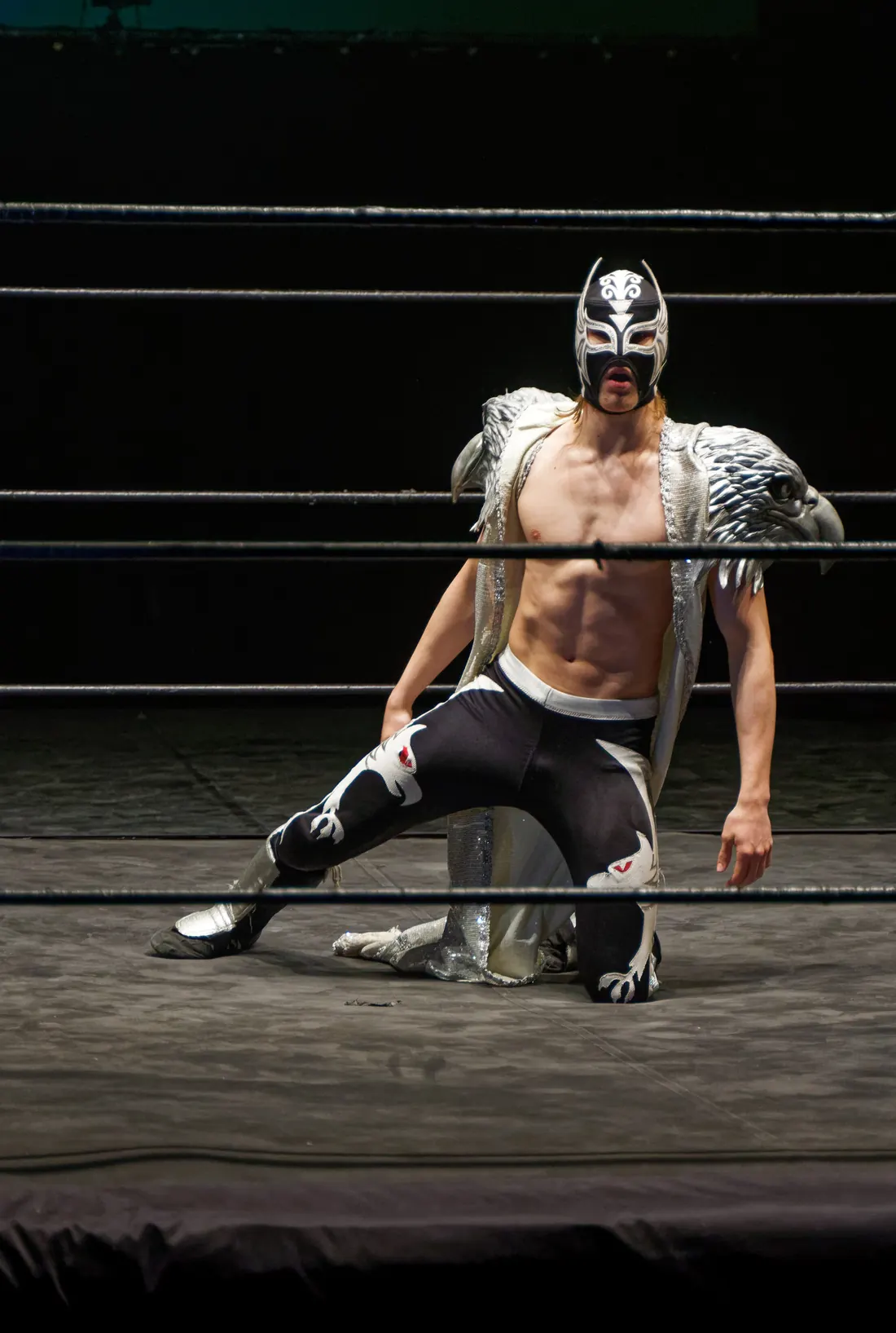 Maskovaný zápasník Lucha Libre v plném kostýmu na živém představení